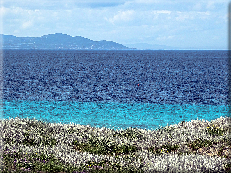 foto Spiagge a Santa Teresa di Gallura